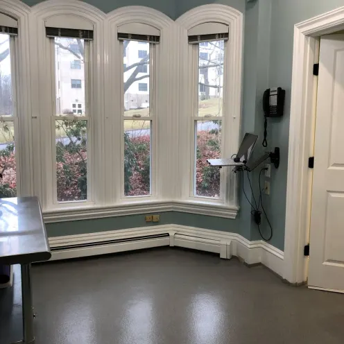 Exam room with computer and exam equipment and large windows at Court Street Animal Hospital